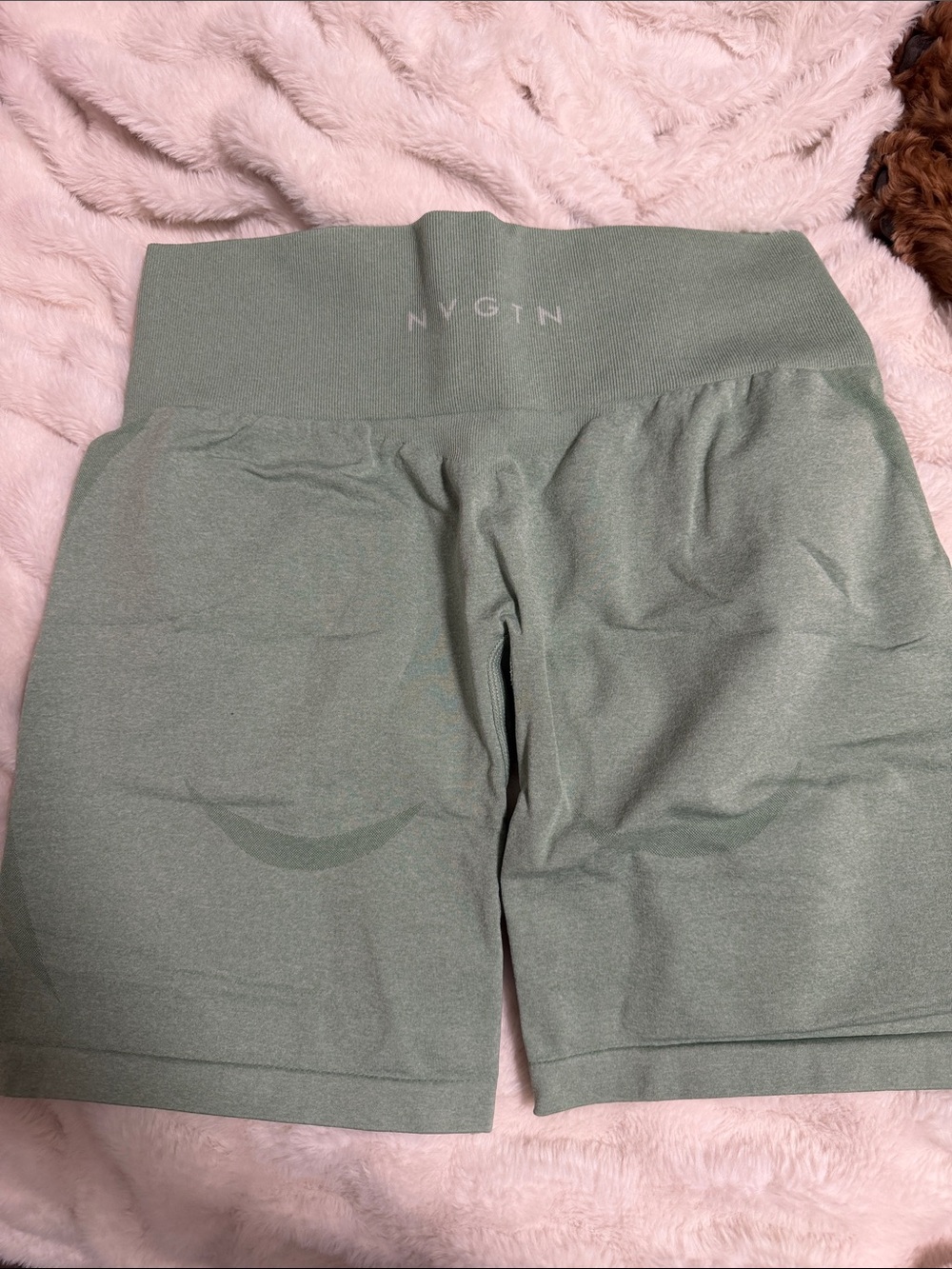 NVGTN high waist Workout Short - Sage Green
